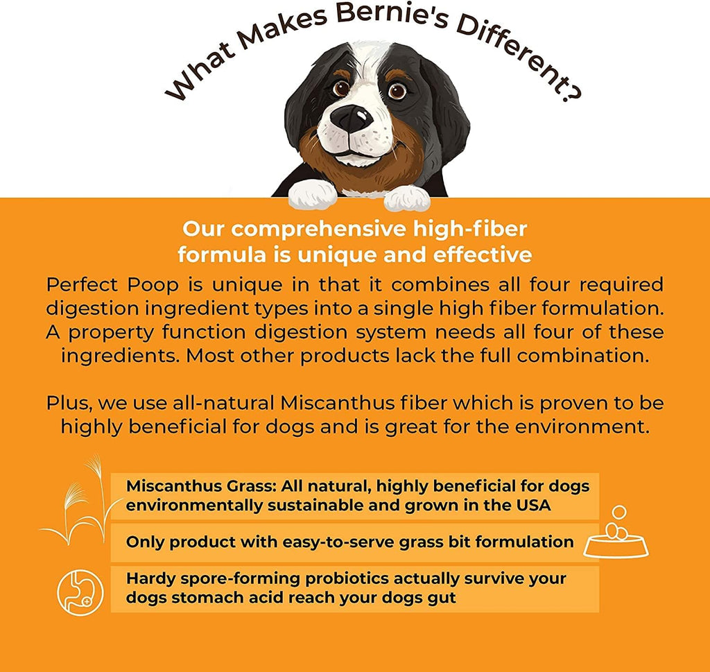 Bernie's Perfect Poop 4-in-1 Dog Digestion Supplement, Cheese, 12.8 oz | Digestive support for firm stools, diarrhea, constipation, gas and stool odor with fiber, prebiotics, probiotics and enzymes