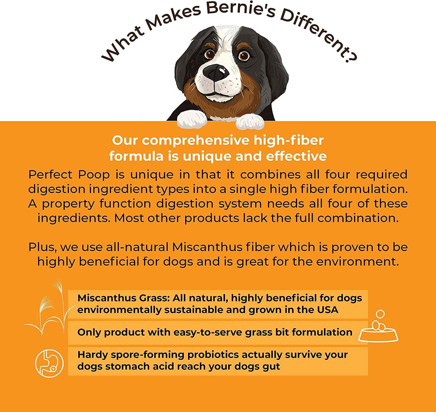 Bernie's Perfect Poop 4-in-1 Dog Digestion Supplement, Cheese, 12.8 oz | Digestive support for firm stools, diarrhea, constipation, gas and stool odor with fiber, prebiotics, probiotics and enzymes