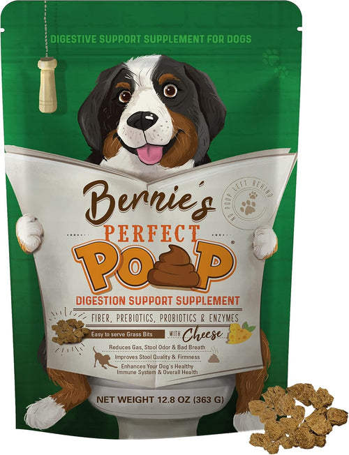 Bernie's Perfect Poop 4-in-1 Dog Digestion Supplement, Cheese, 12.8 oz | Digestive support for firm stools, diarrhea, constipation, gas and stool odor with fiber, prebiotics, probiotics and enzymes