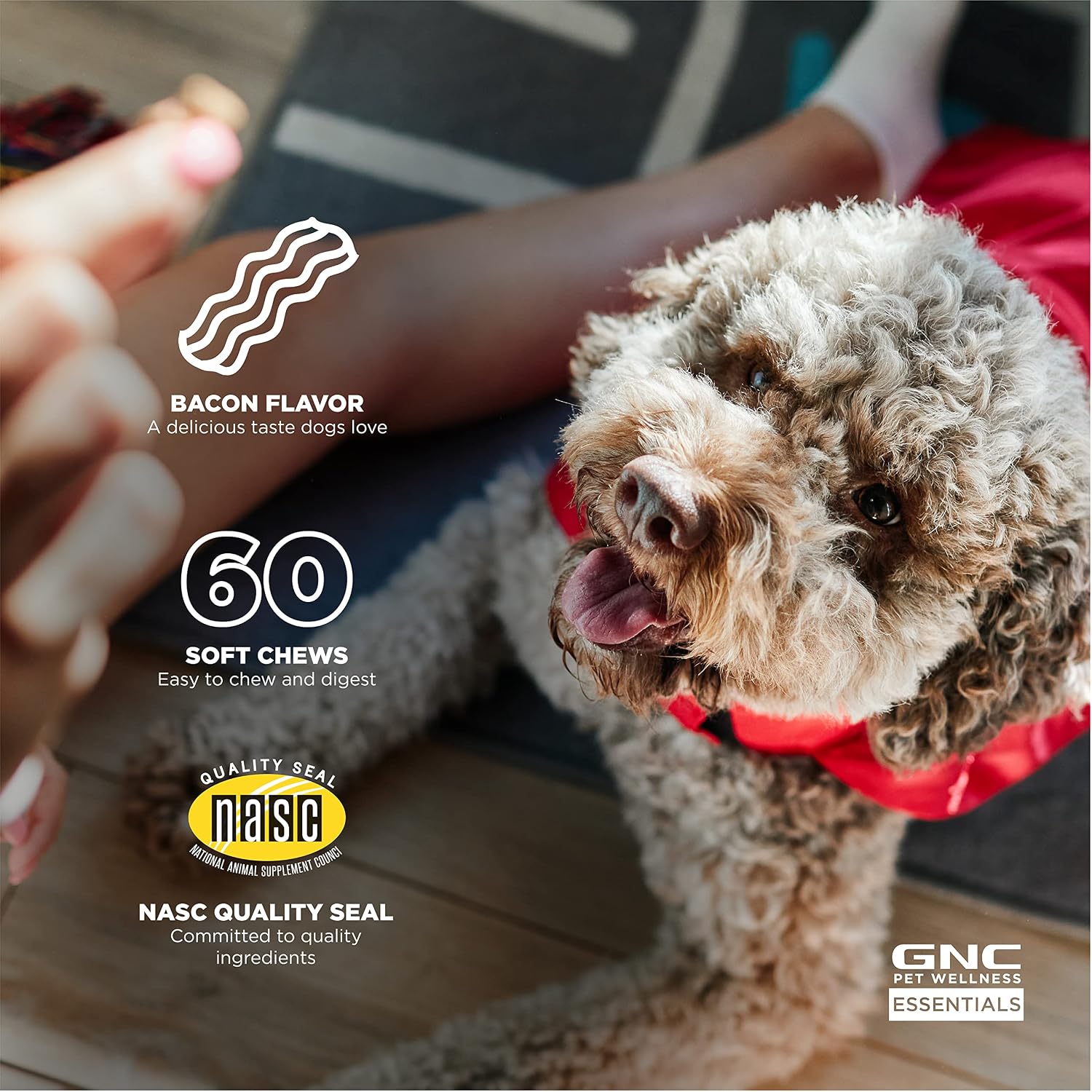GNC Pets Essentials Digestion Soft Chews for Dogs, Bacon Flavor, 60 Count | Prebiotics, probiotics, and enzymes formula, for digestive support, puppies and adult dogs, reusable jar